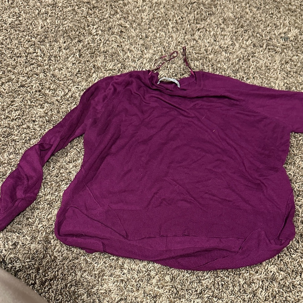 Zara Long Sleeve Top in Rich Purple